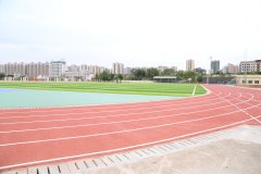 “一月一推进、一季一评估”机制